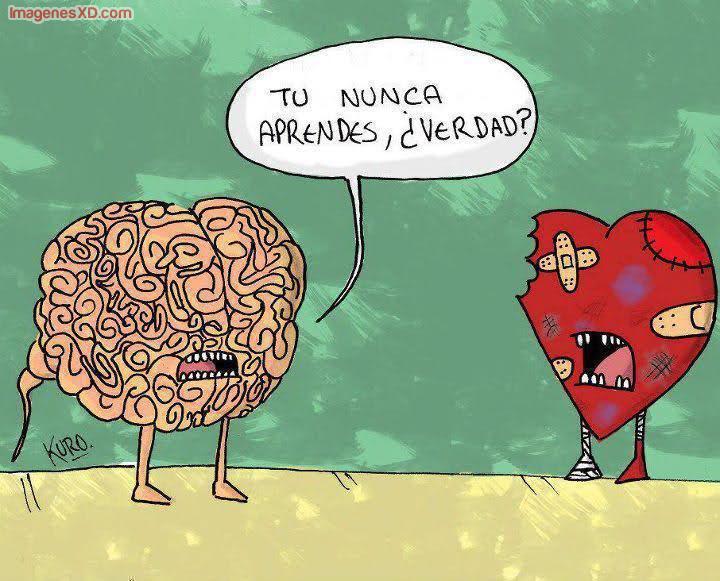 Los sentimientos no se generan en el corazón sino en el cerebro